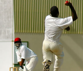 Pic Cricket
